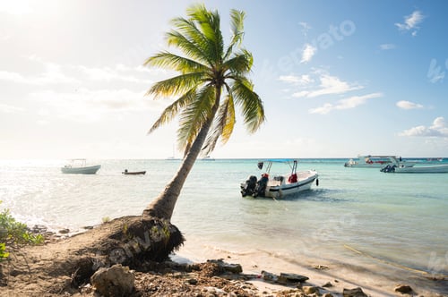 Preview: Beach landscape in the Dominican Republic, Saona Island