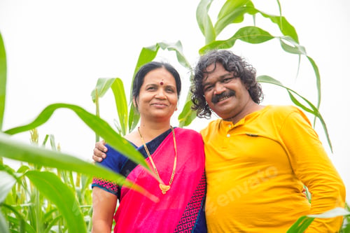 Preview: Happy Indian couple in sorghum crop field, India.