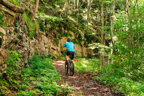 Preview: cyclist riding his mountain bike in a forest path