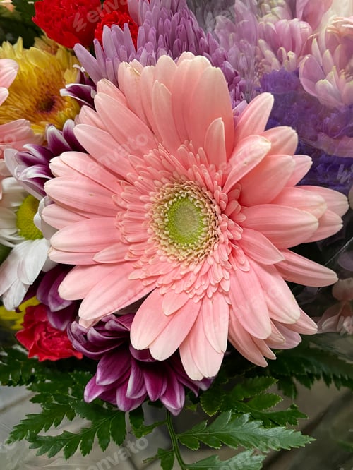 Preview: Flower