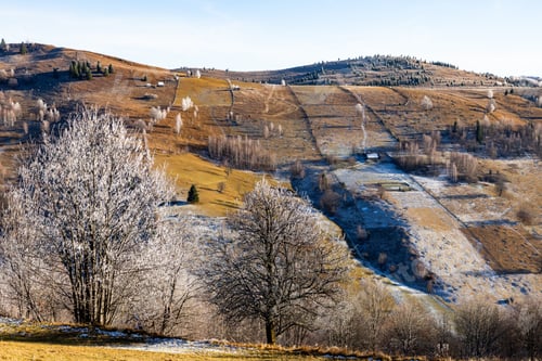 Preview: winter landscape with frozen trees with hoarfrost