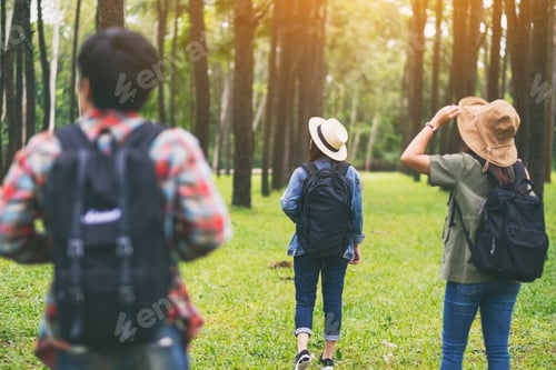 Preview: A group of travelers walking and looking into a beautiful pine woods