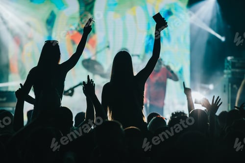 Preview: Two woman in the crowd at a music festival