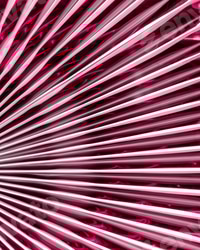 Preview: Details of shiny pink material in folds, forming striking and smooth lines with reflections