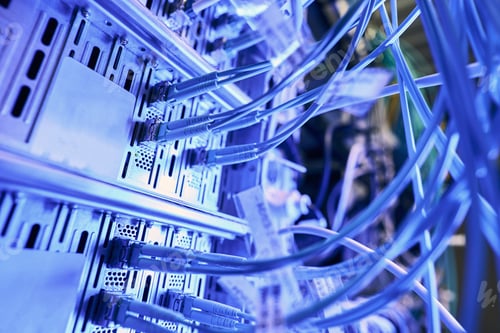 Preview: Multiple twisted-pair cables plugged into network switches