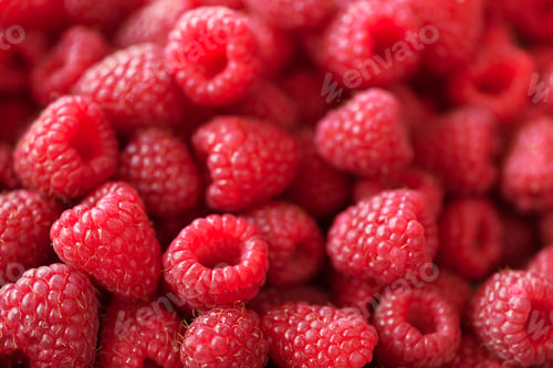 Preview: Ripe raspberries macro. Selective focus. Fruit background with copy space. Summer and berries