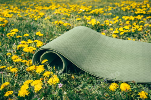 Preview: Yoga mat on a spring meadow with dandelions