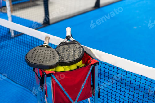 Preview: Paddle objects on blue court