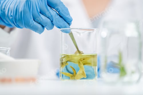 Preview: researcher working in laboratory for medicals science research using scientific equipment technology