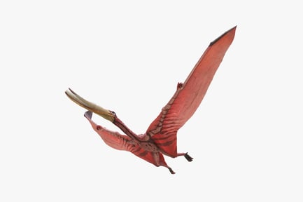 Preview: Pterodaustro: Filter-Feeding Pterosaur