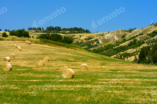 Preview: Country landscape near Castrocaro and Predappio, Emilia-Romagna