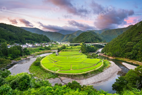 Preview: Aragijima rice terrace in Wakayama, Japan