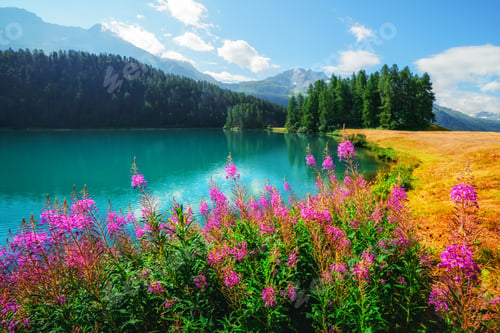 Preview: Champferersee