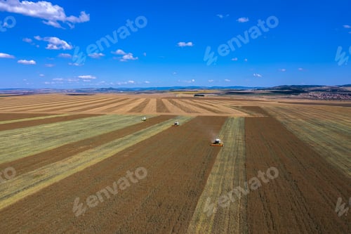 Preview: Agriculture theme