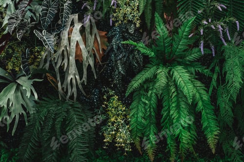 Preview: Close up group of background tropical green leaves texture and abstract background.