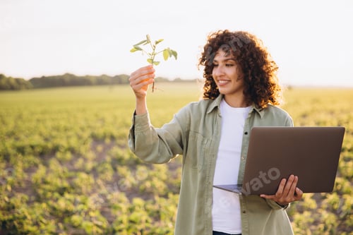 Preview: Young agronomist holding soybean plant and laptop in cultivated field