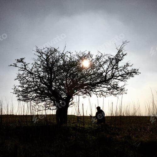 Preview: Morning meditation with ancient tree, meditation yoga