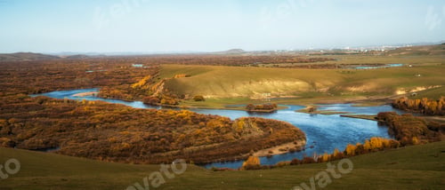 Preview: autumn grassland