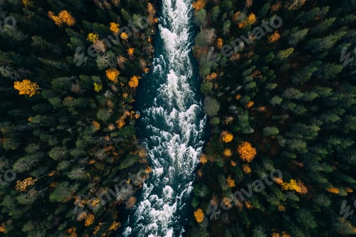 Preview: Aerial view of fast river through fall woods or forest with colorful trees.