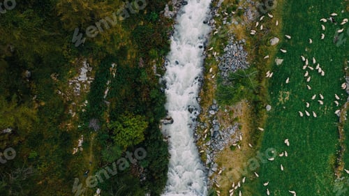 Mountain river.