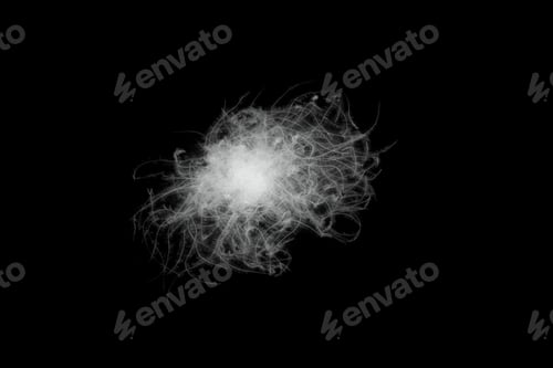 Preview: white duck down on a black isolated background