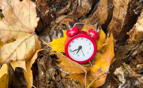 Preview: Vintage alarm clock and maple tree leaves on yellow wooden background with bokeh. Autumn season
