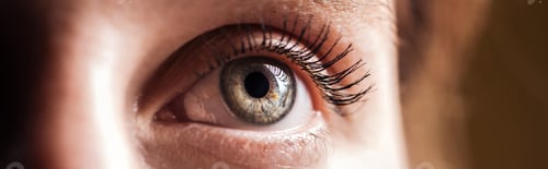 Preview: close up view of human grey eye looking away, panoramic shot