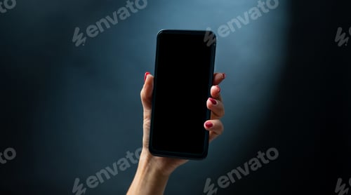 Preview: Hand holding smartphone