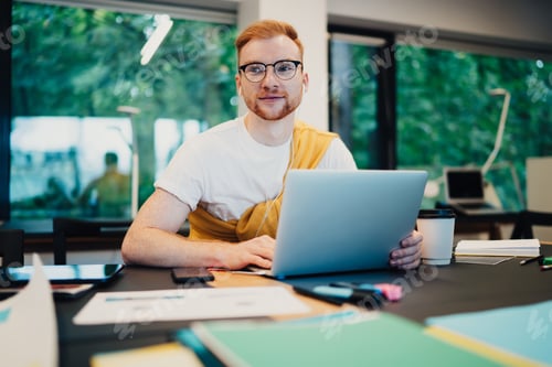 Preview: Smiling male surfing laptop on workplace