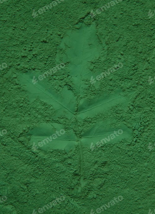 Preview: Leaves imprint on green powder. Natural cosmetic. Selective focus.
