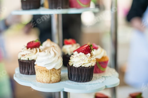 Preview: Close up Various gourmet cupcakes on the display tray.