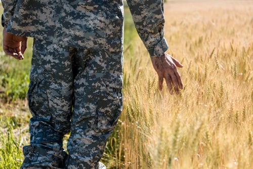 Preview: cropped view of soldier in military uniform touching wheat in golden field