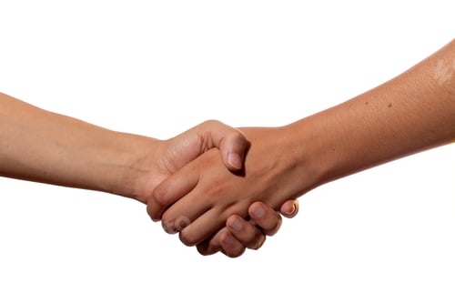 Preview: Latin handshake isolated on white background. Hand of man and woman.