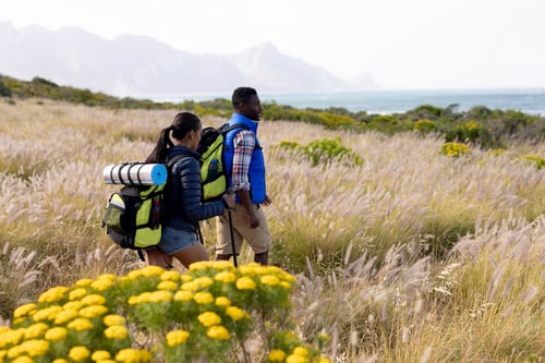 Preview: Fit afrcan american couple wearing backpacks nordic walking with poles in mountain countryside