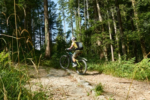 Preview: Man mountain biking on a path in a forest