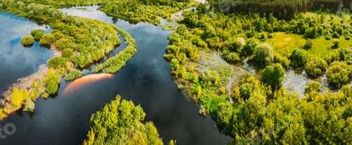 Preview: Aerial view. Green forest, meadow and river marsh landscape in summer. Top view of european nature