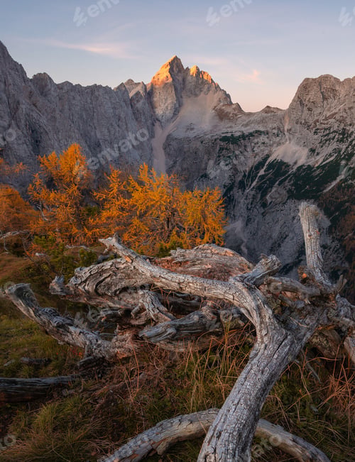 Preview: Autumn in the mountains