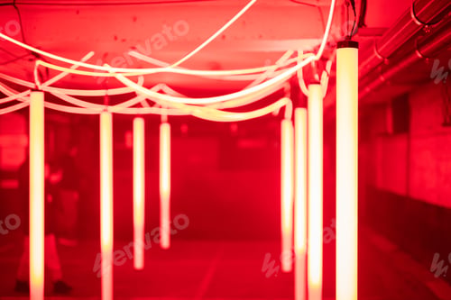 Preview: Disco