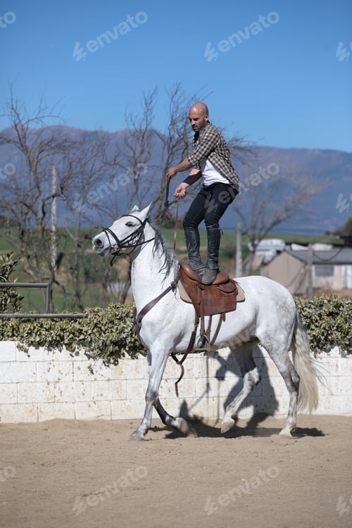 Preview: Young stunt guy in casual outfit riding white horse on sandy ground