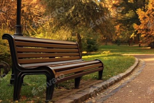Preview: Wooden bench and yellowed trees in park on sunny day