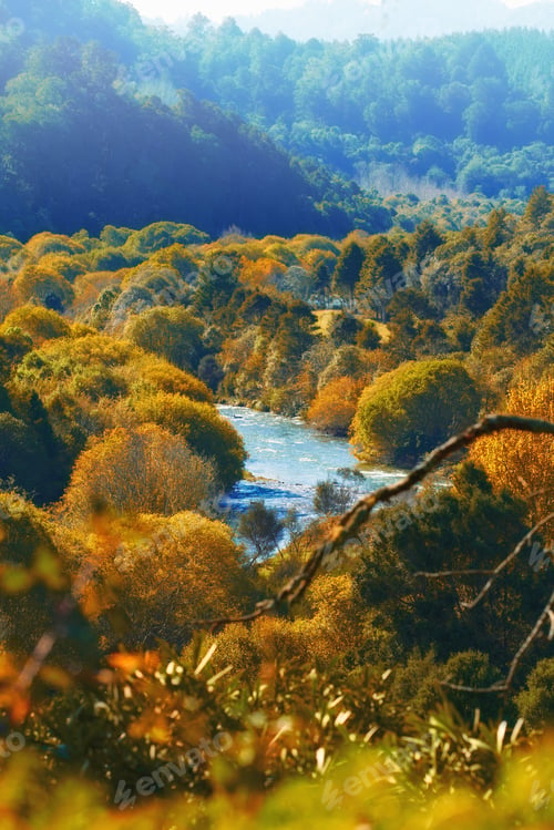 Preview: Autumn in New Zealand