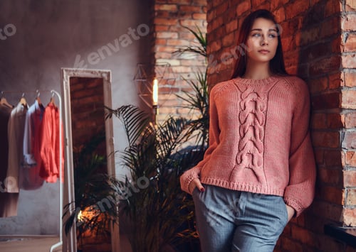 Preview: A beautiful charming brunette in a room with loft interior.
