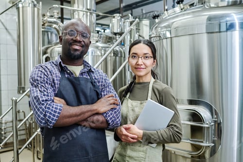 Preview: Couple of engineers working at brewery