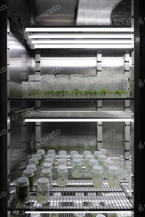 Preview: Vertical shot of seedling on a freezer in a laboratory