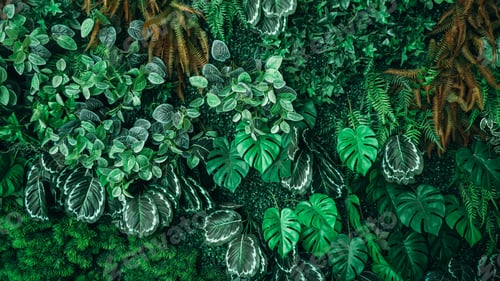 Preview: Close up group of background green leaves texture and Abstract Nature Background.