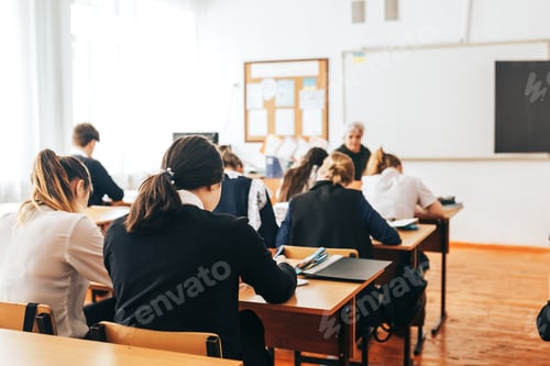Aperçu: Students at school on lesson
