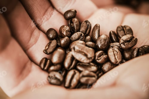 Preview: Coffee Beans in a Hand