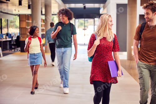 Preview: Male And Female Students In Busy University Or College Building Talking As They Walk Along Corridor