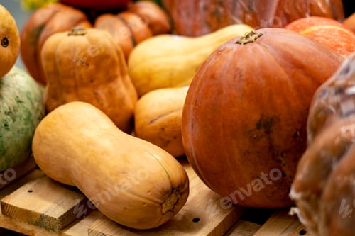Preview: various autumn harvest vegetables on wooden surface and in bucket f