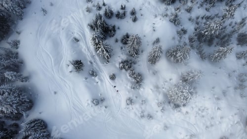Preview: Stunning aerial view of a ski slope blanketed in a layer of fresh snow, dotted with trees